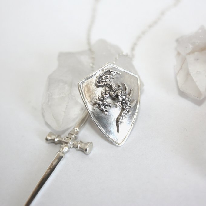 竜の盾 - 画像 (2)