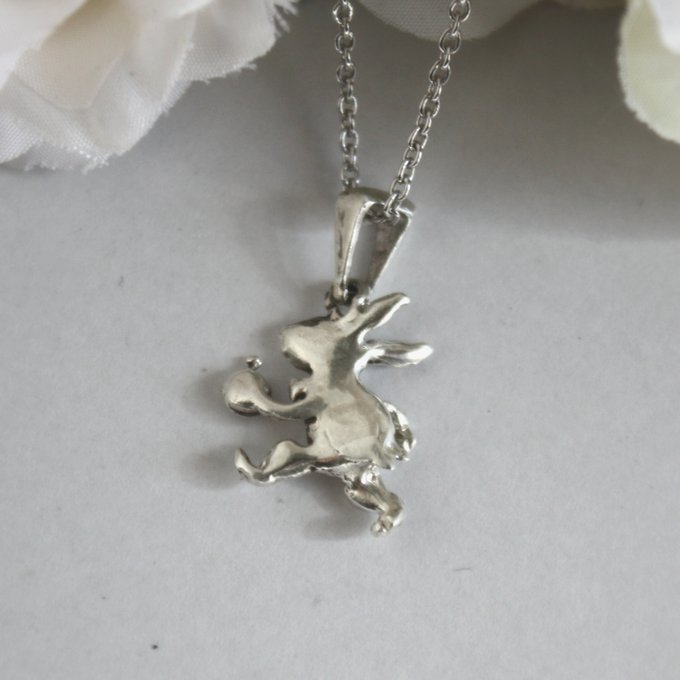 白ウサギ - 画像 (3)