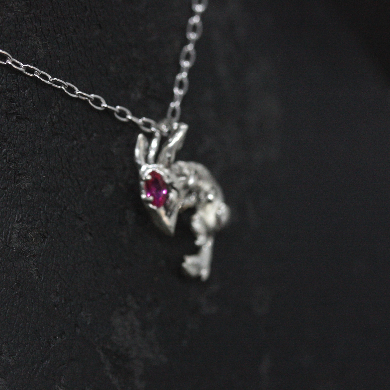 カーバンクル×ルビー - 画像 (9)