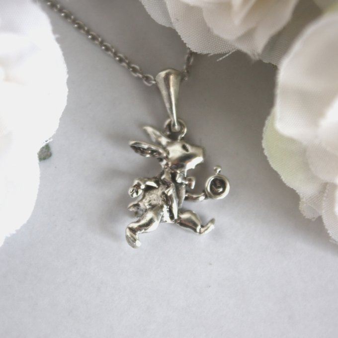 白ウサギ - 画像 (2)