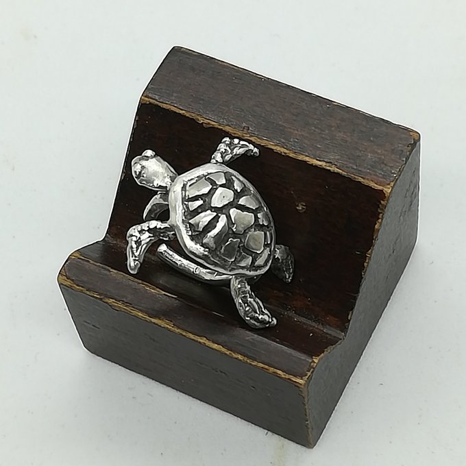 海亀が耳にしがみつく